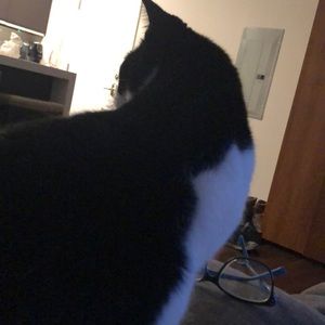 Meet your Posher, Brooke